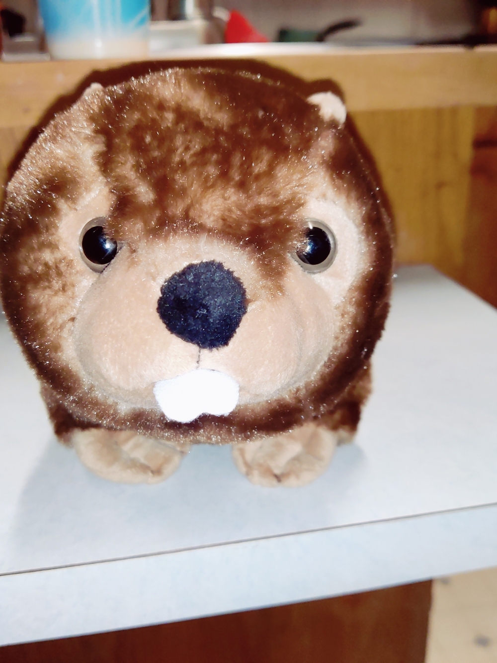 The Petting Zoo Beaver Recycled Realistic Plush Toy Stuffed Animal